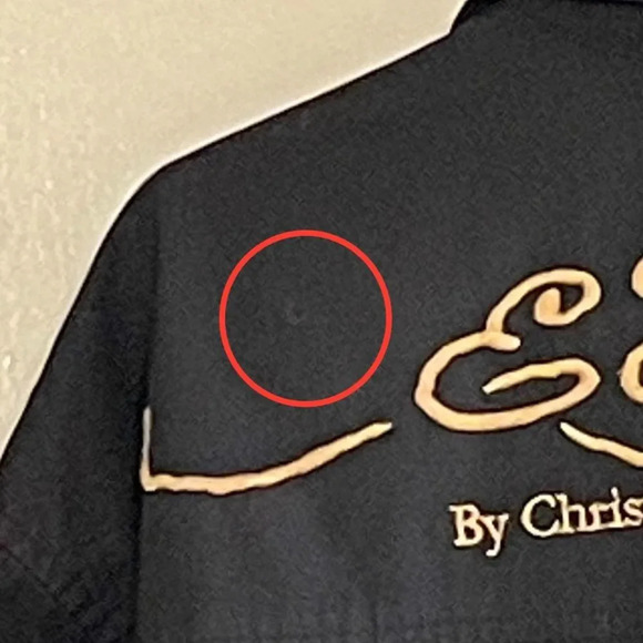 ED HARDY By CHRISTIAN AUDIGIER Long Sleeve Embroidered Button Down Shirt - Picture 6 of 11